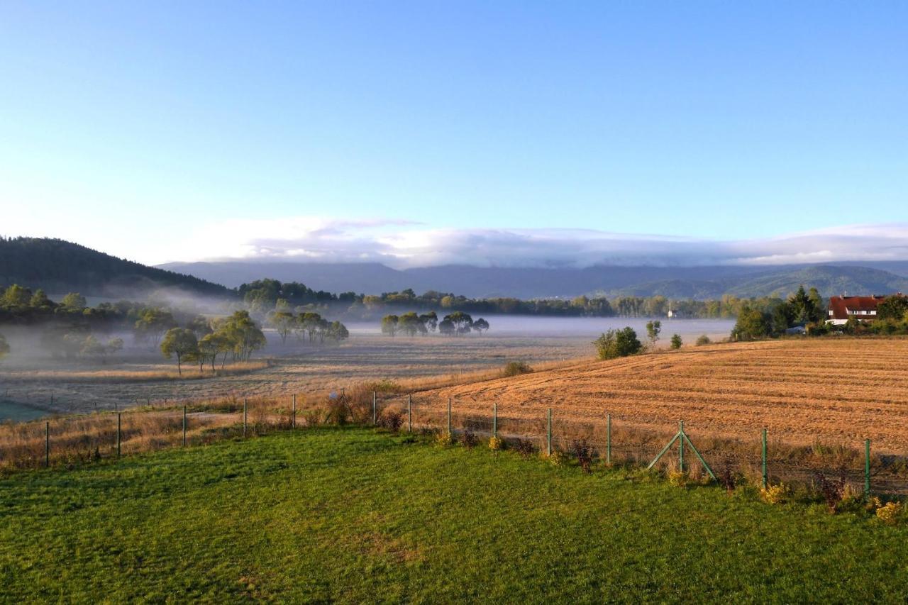 Sowi Kamien * Lomnica (Jelenia Gora)